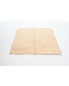 Paper Bag Brown Kraft 254 x 254mm (10 x 10")