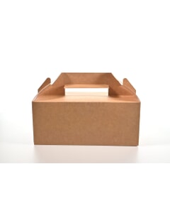 Vegware Cardboard Carry Pack 22.8 x 12.2 x 9.7cm