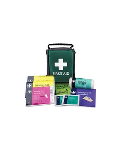Travel First Aid Kit In Nylon Case