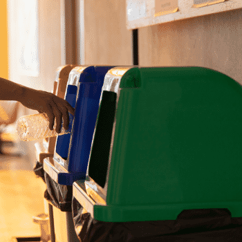 Sustainable Packaging for Food: Your Guide to Going Green